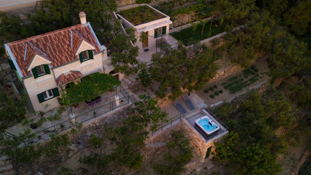 מאקרסקה Villa Pelargonia מראה חיצוני תמונה