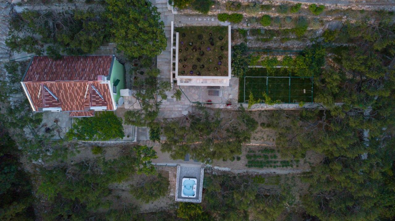 מאקרסקה Villa Pelargonia מראה חיצוני תמונה
